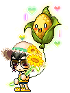 Tournesol